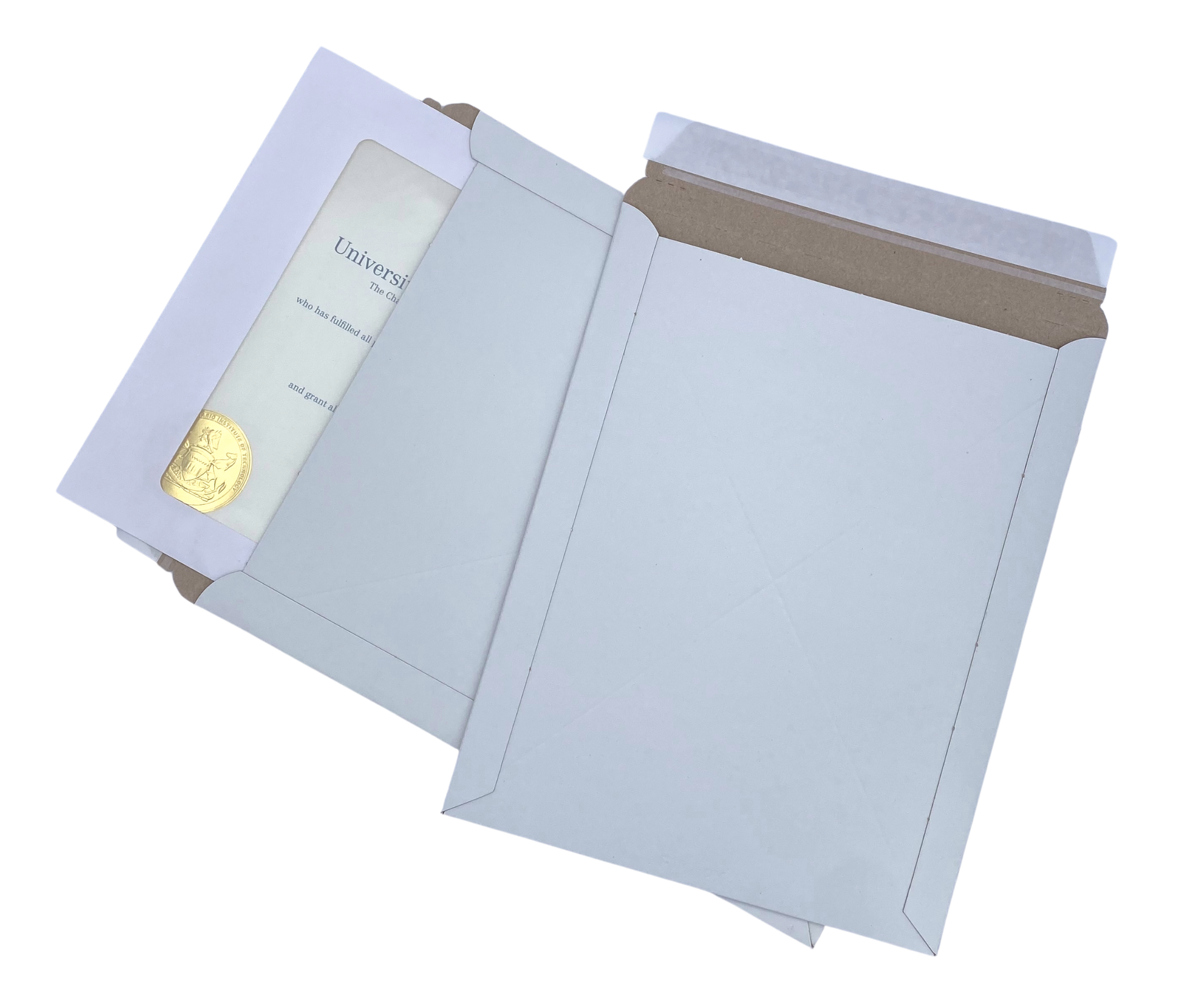 Enviro Logix Flat Mailers