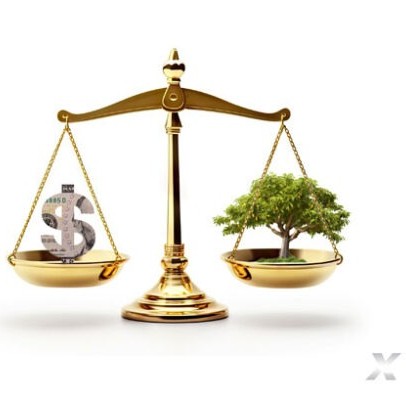 Sustainable Packaging Solutions: Balancing Ecology and Economy