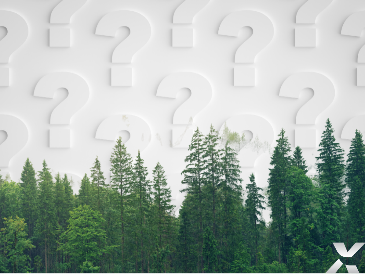 Forest with question marks symbolizing FSC® certification and sustainable forestry practices.